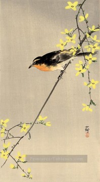 Animaux œuvres - oiseaux d’Ohara KOSON à poitrine orange
